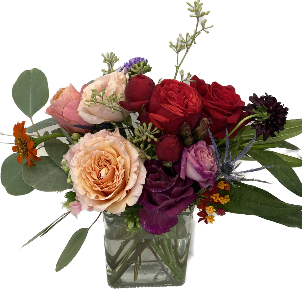 Seasonal Rose Sampler