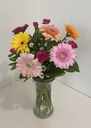 Gerbera