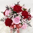 Carnation Dozen - mixed color