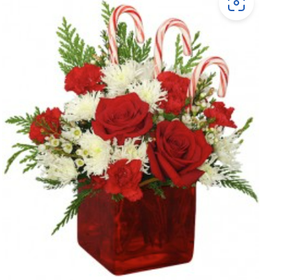 [Candy Cane] Candy Cane