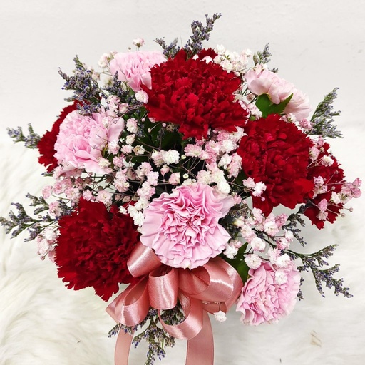 Carnation Bouquet Dozen - mixed color